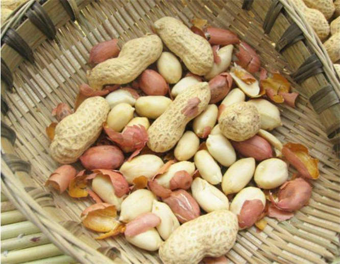 图片细节